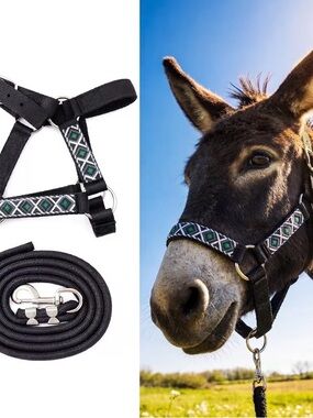 Miniature Donkey Halter and Lead with Green Geometric Accent